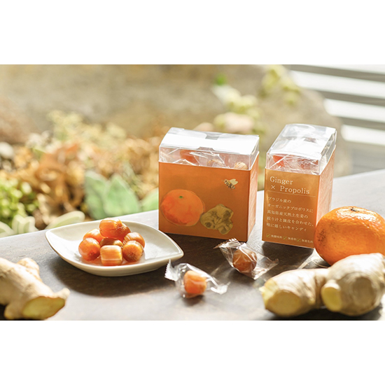 Cashmere Propolis]プロポリスキャンディ/Ginger×Propolis | 光文社